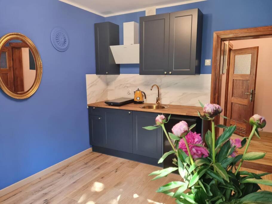 Apartament Kraszewskiego - Retro, Blisko Starowki, Kolo Parku, Ogrod Dla Gosci, Rowery Free Stary Toruń Dış mekan fotoğraf