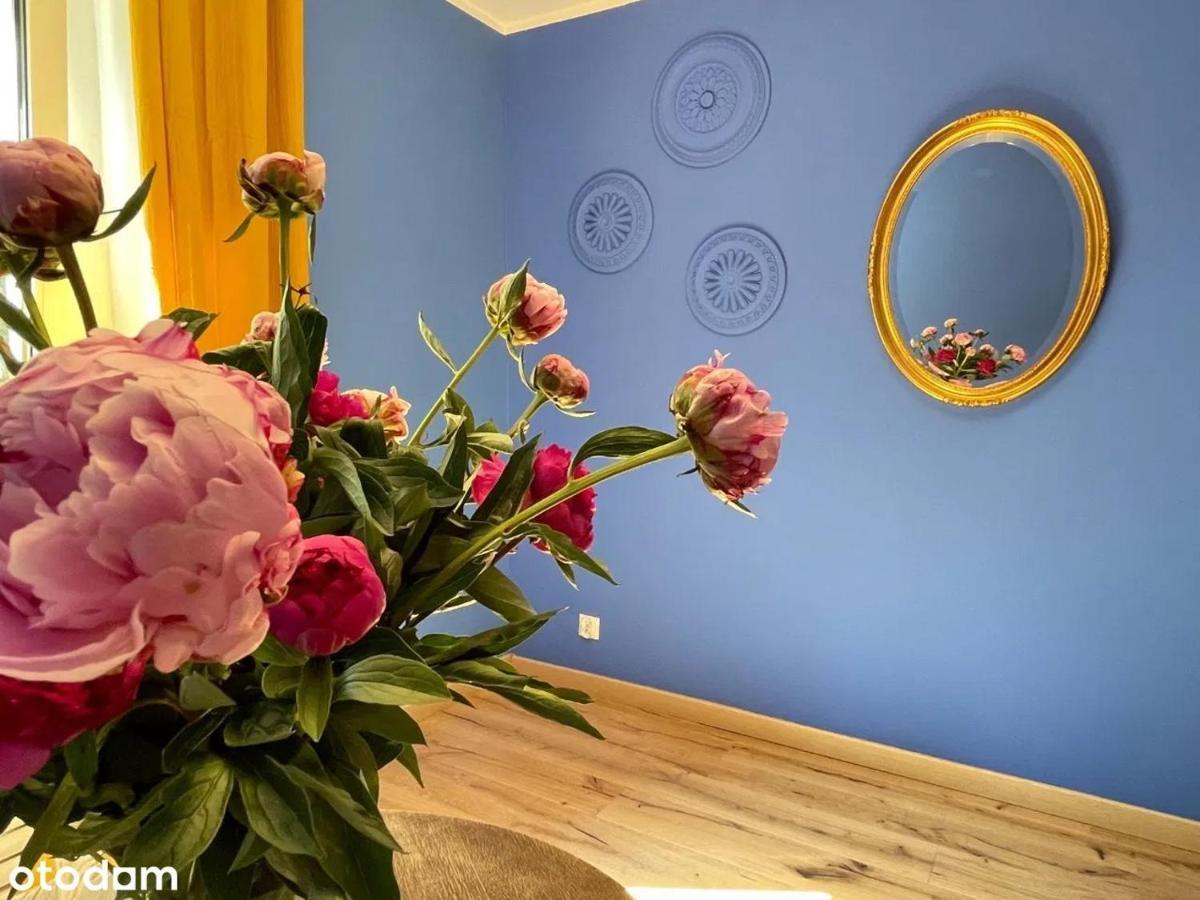 Apartament Kraszewskiego - Retro, Blisko Starowki, Kolo Parku, Ogrod Dla Gosci, Rowery Free Stary Toruń Dış mekan fotoğraf